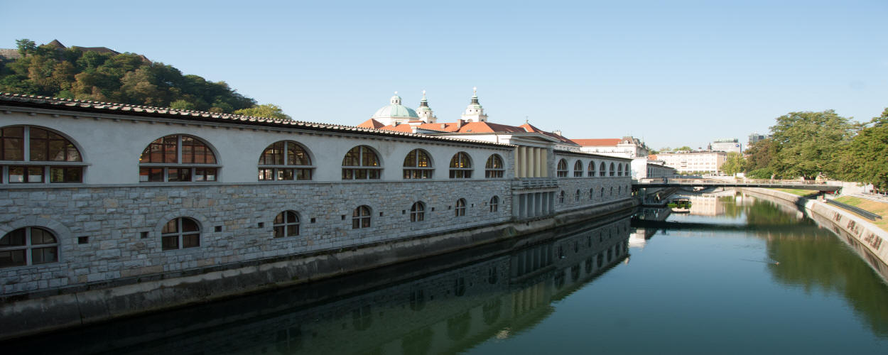 Ljubljanska tržnica