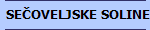 SEČOVELJSKE SOLINE